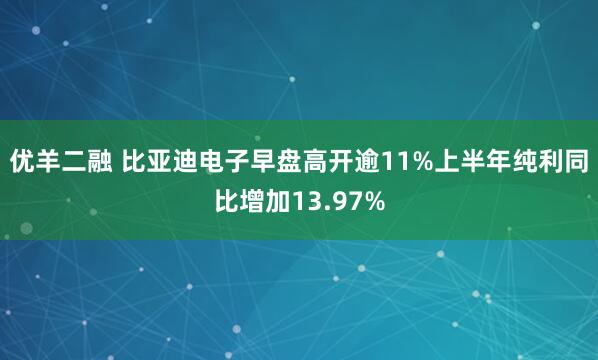 优羊二融 比亚迪电子早盘高开逾11%上半年纯利同比增加13.97%