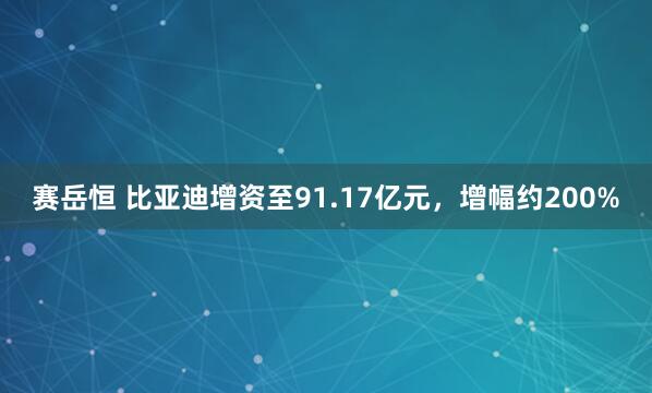 赛岳恒 比亚迪增资至91.17亿元，增幅约200%