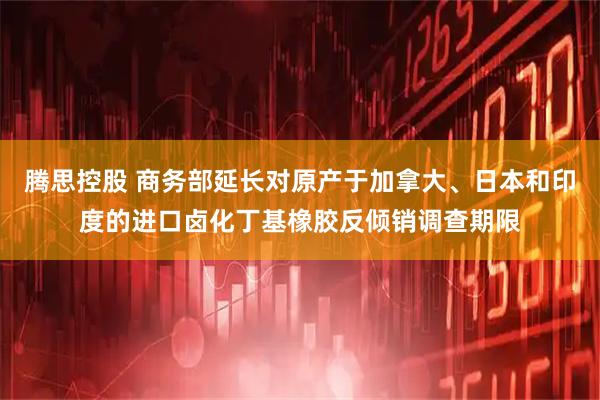 腾思控股 商务部延长对原产于加拿大、日本和印度的进口卤化丁基橡胶反倾销调查期限