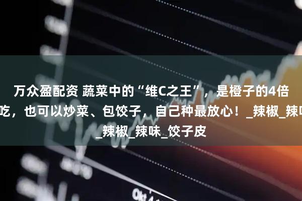 万众盈配资 蔬菜中的“维C之王”，是橙子的4倍，可以生吃，也可以炒菜、包饺子，自己种最放心！_辣椒_辣味_饺子皮